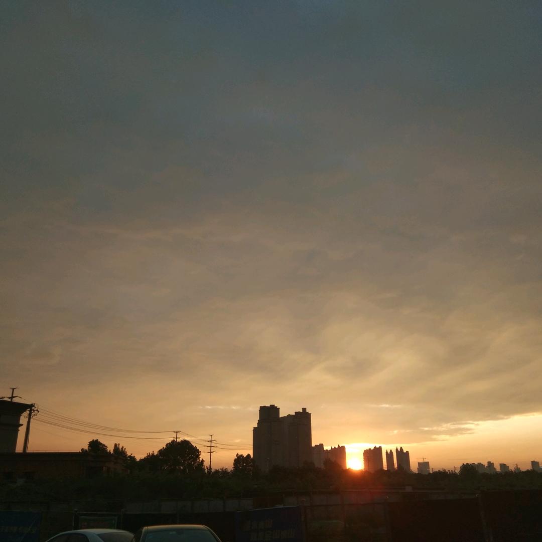 啄术鸟（万达8号店）