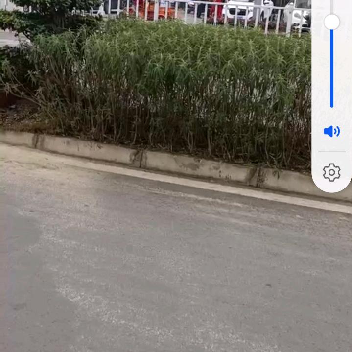 付哥