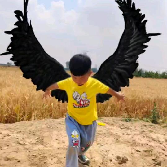 物流货源运力服务-鸿丰物流