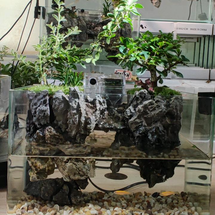 颜子微景观水陆缸