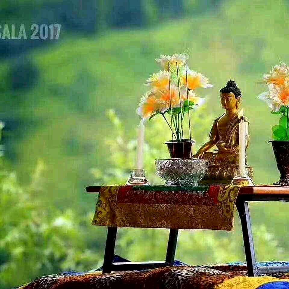 ལོ་མ🌸