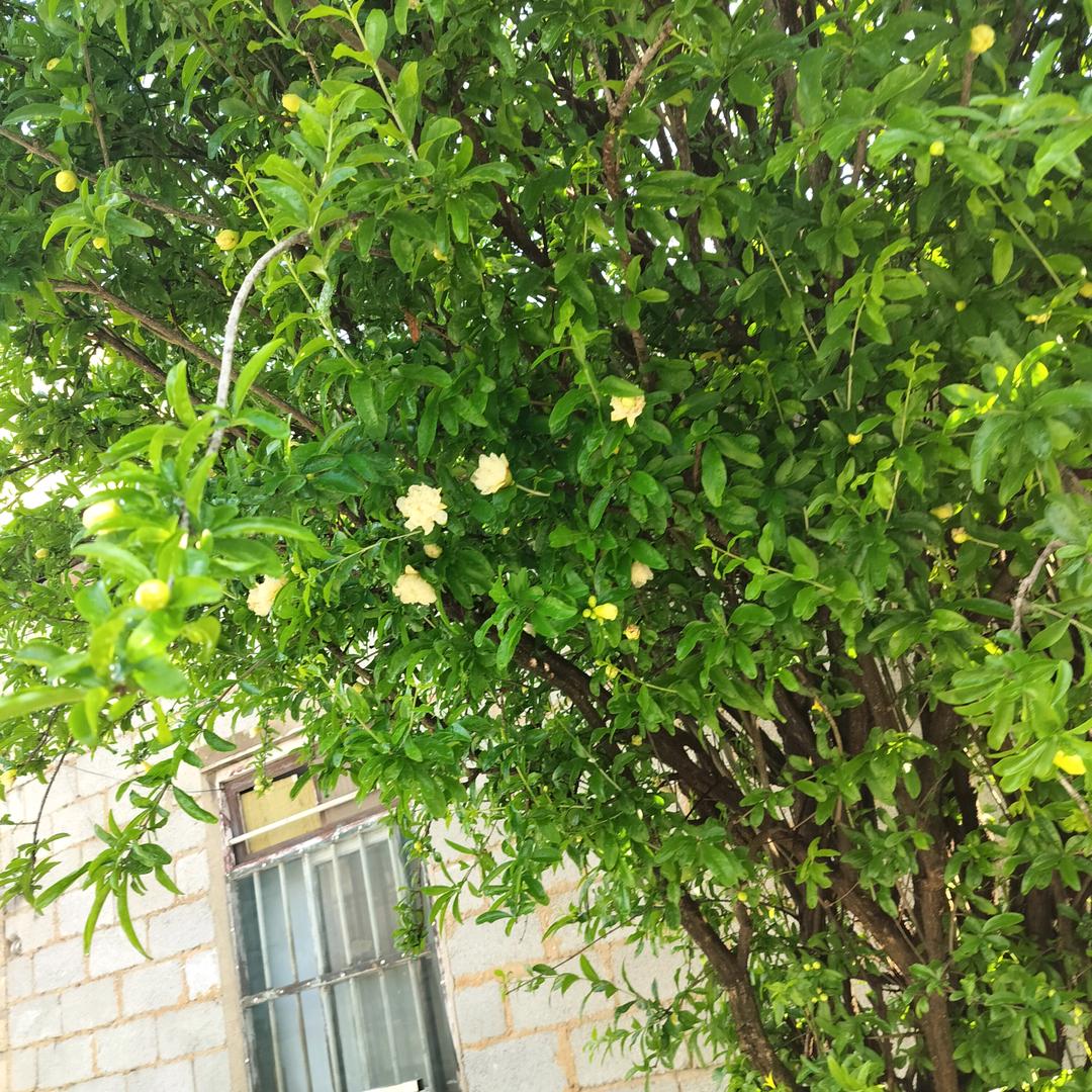 秋雨一阵