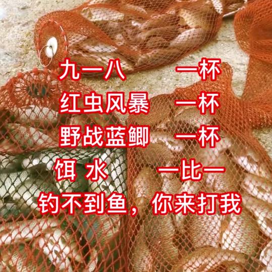 松间明月
