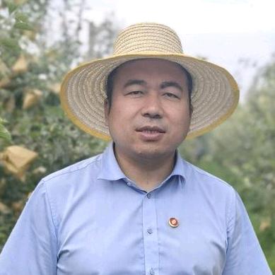 薛苹果