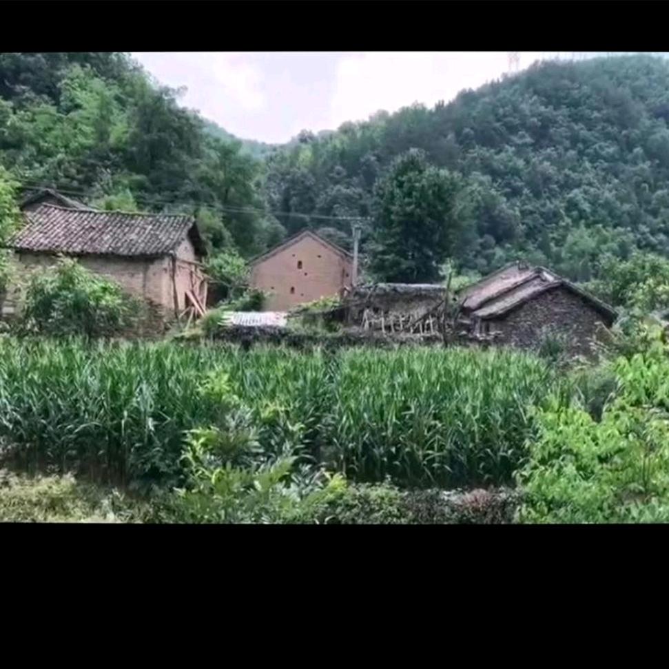 武当冲虚堂