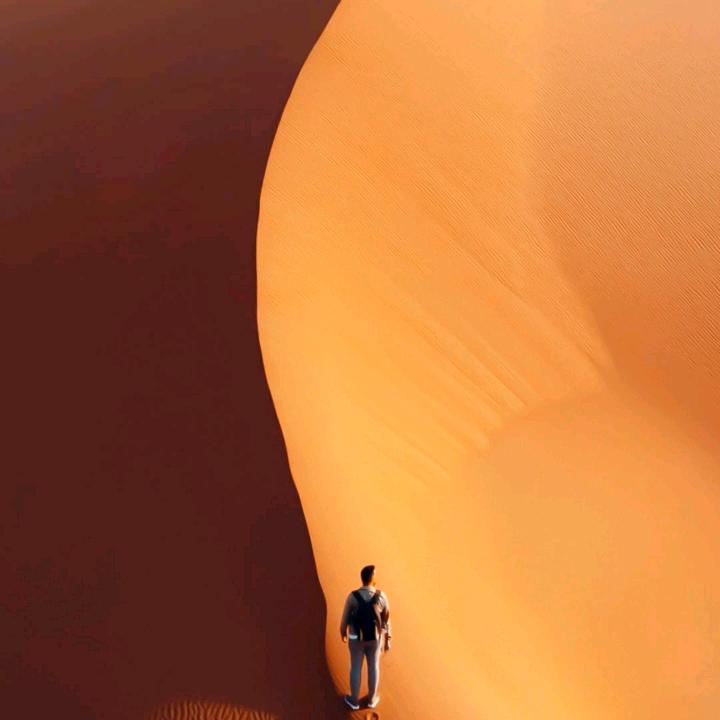 哈拉蜜