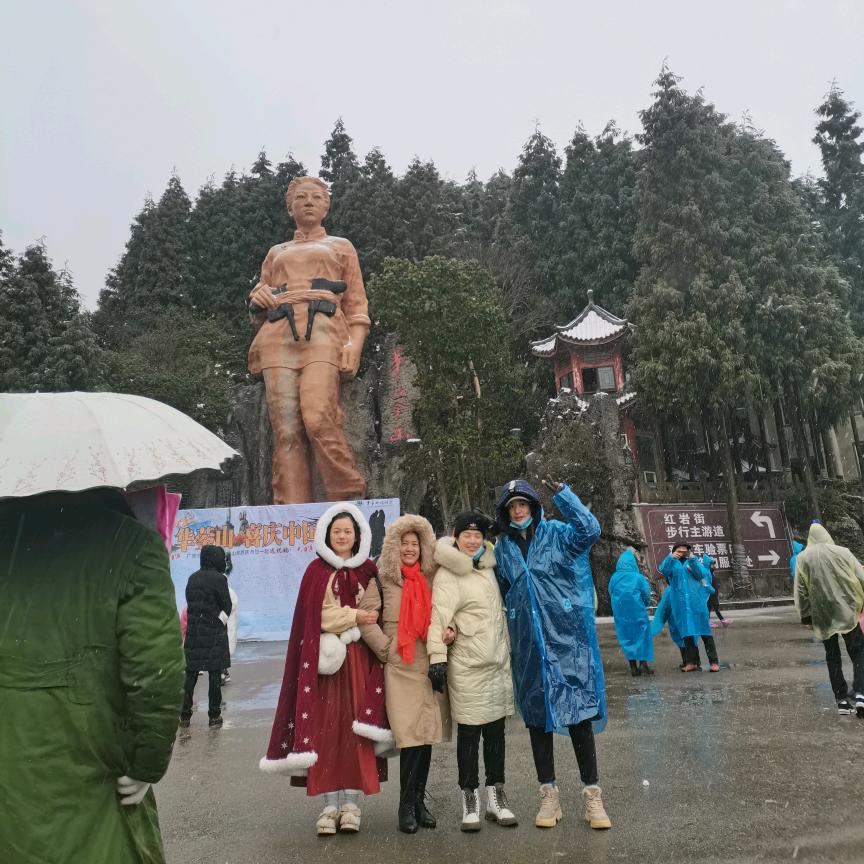 太阳花