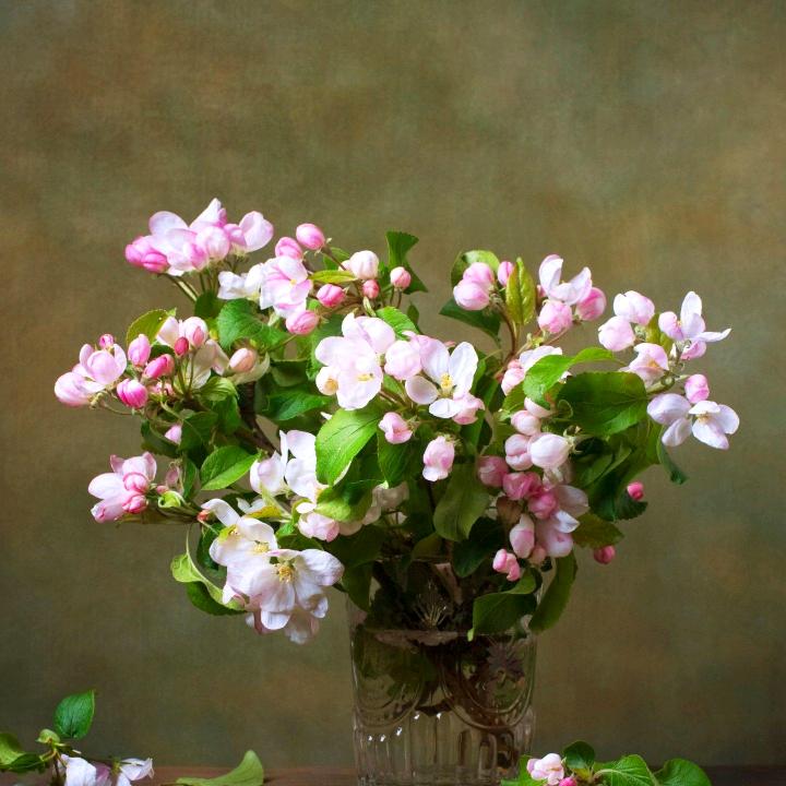 如皋市豪艺婚庆：鲜花