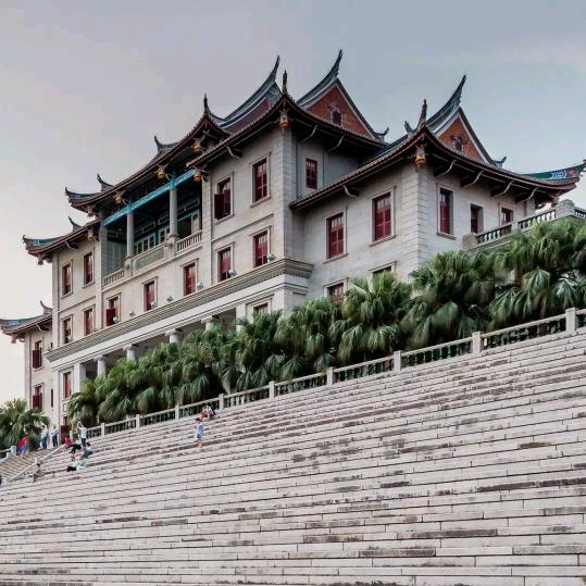 会说话的眼睛