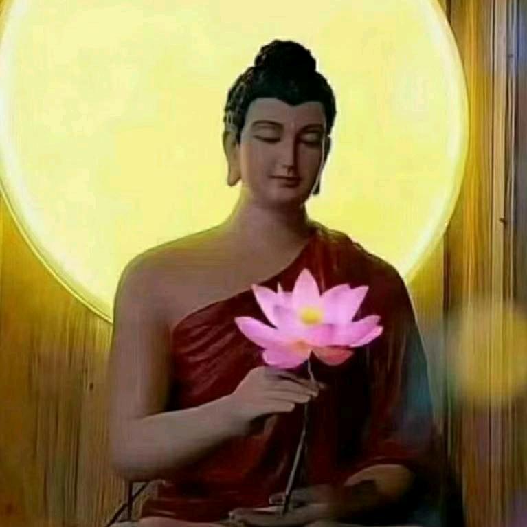 花开富贵#