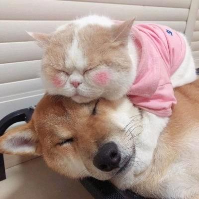 许多年以後