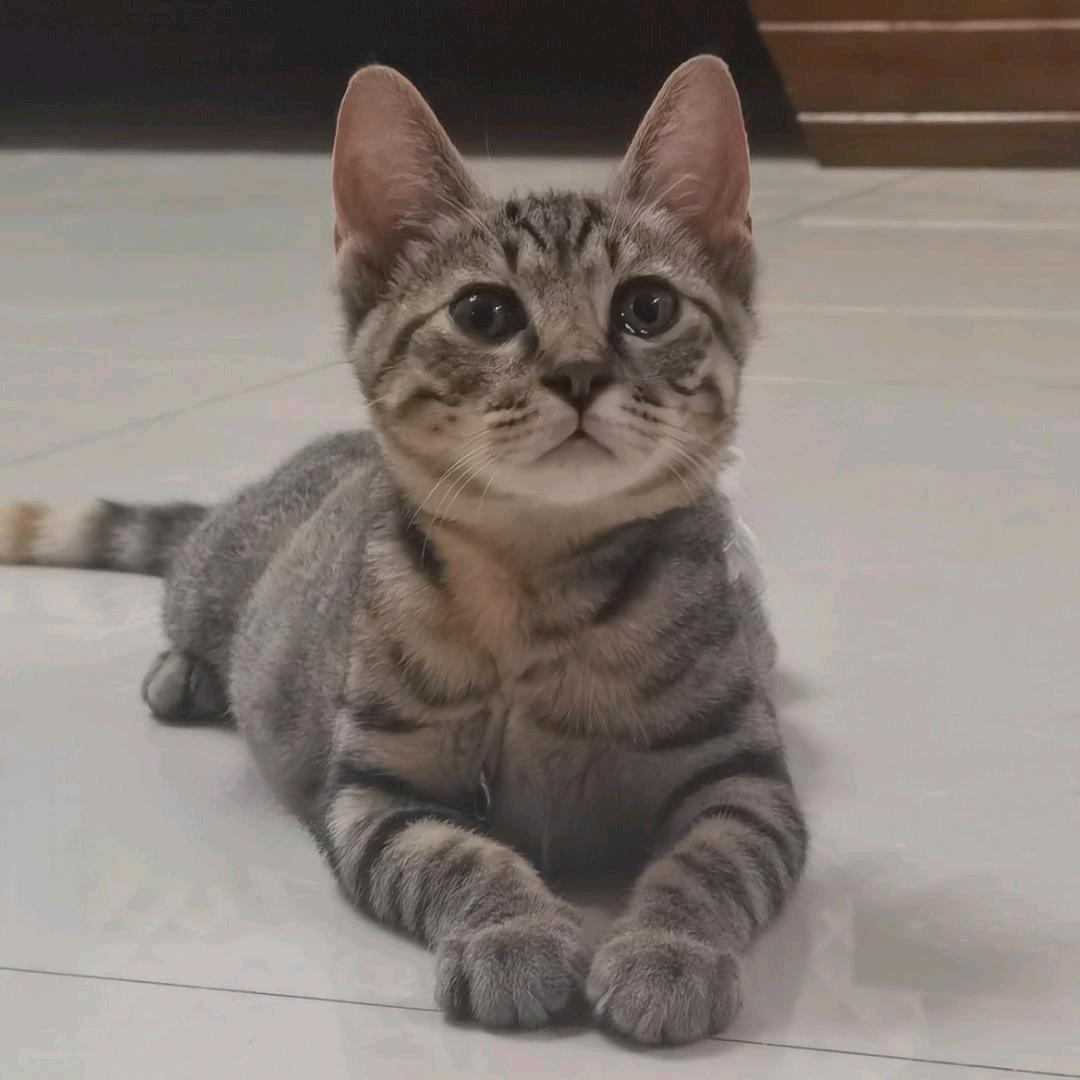 我是大胡子