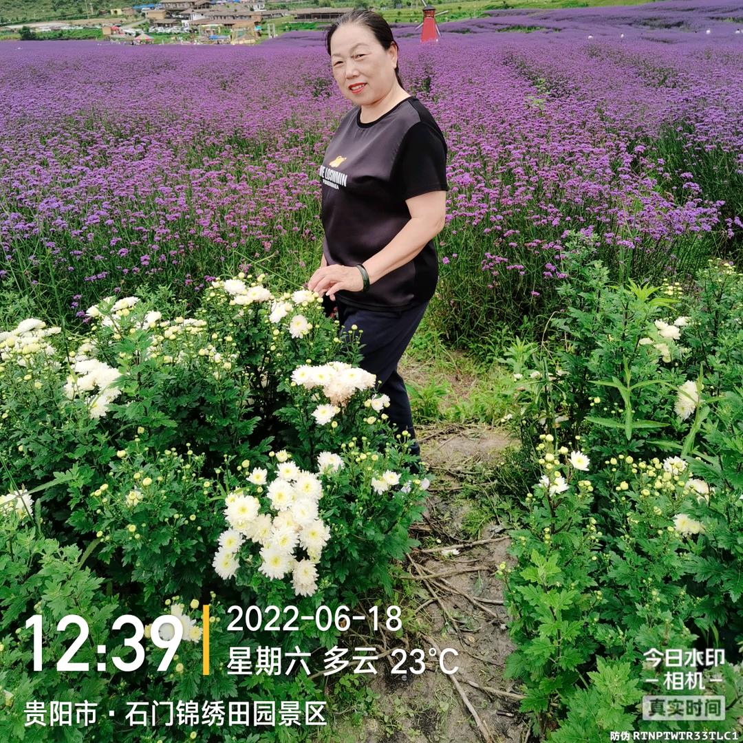用户6256063694873