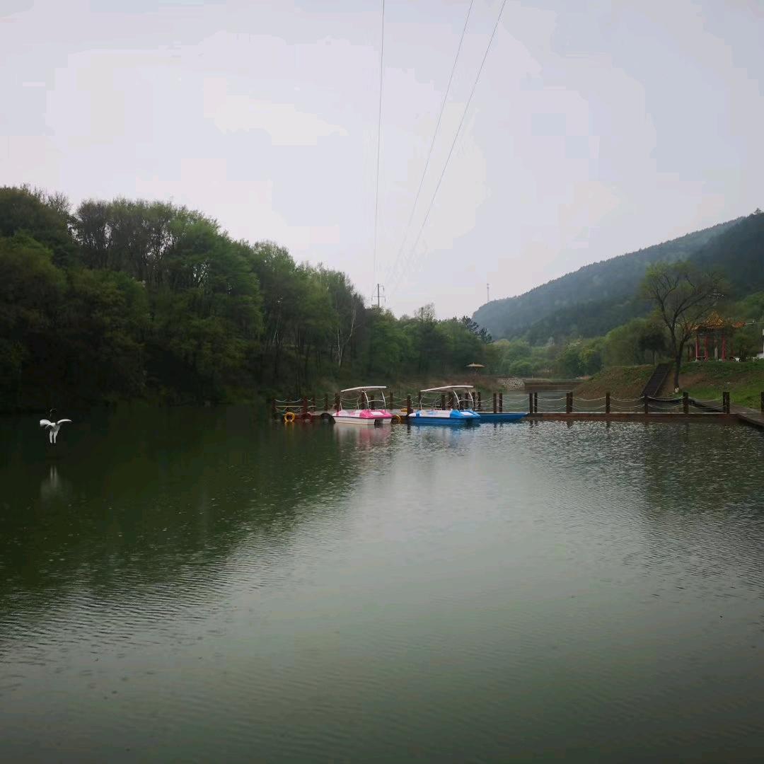 东哥爱象棋