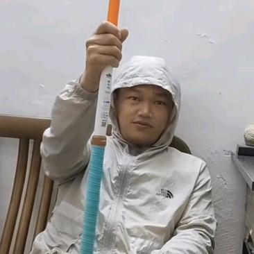 好多余🐠🐠🐠🐠🐠🐠🐠🐠