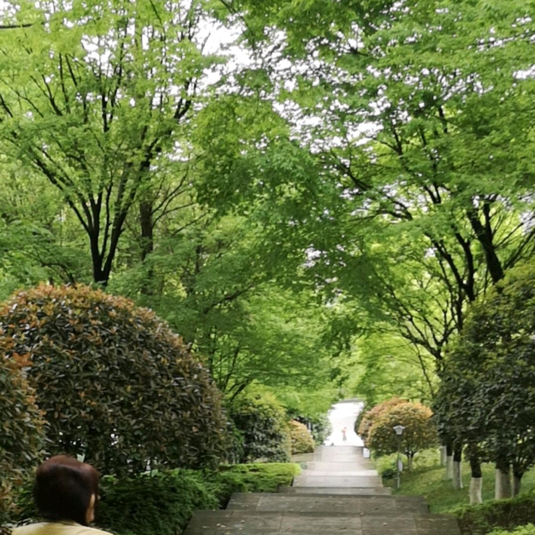 纵横四海