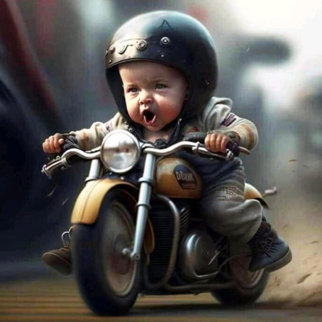 马先生骑拉力(✪▽✪)