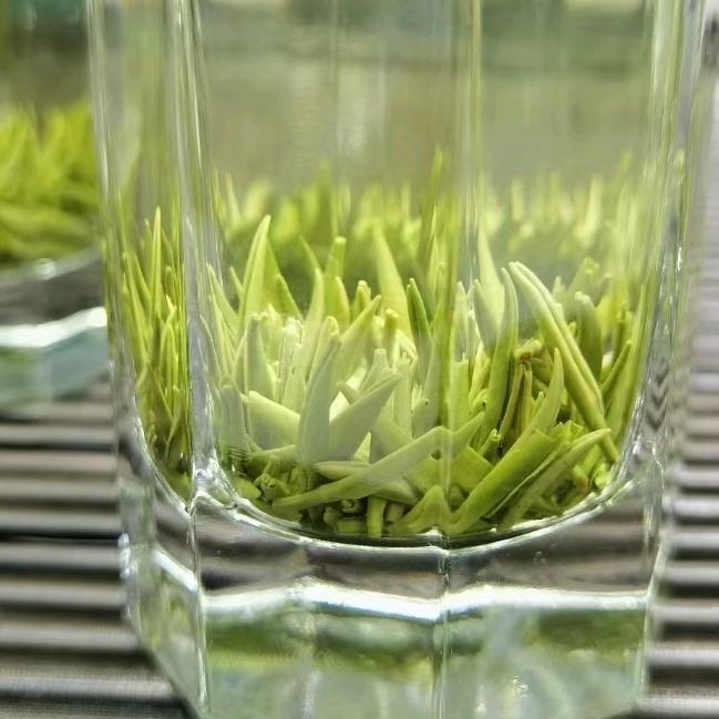 a黑茶罗🍵