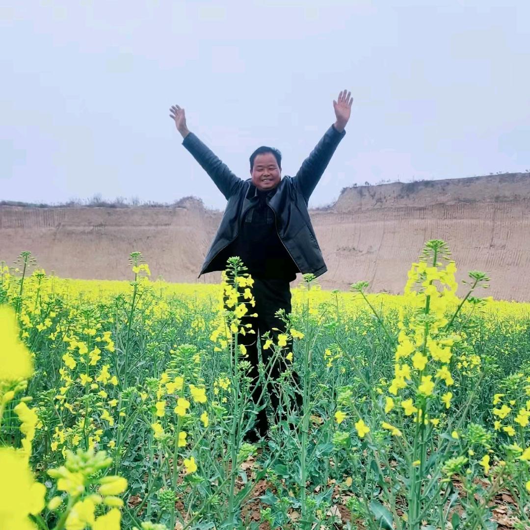 一帆风顺