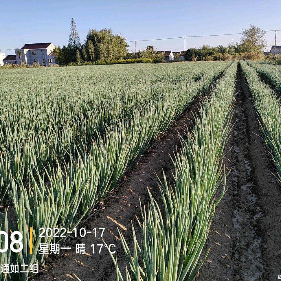 (ง •̀_•́)ง郭好此生