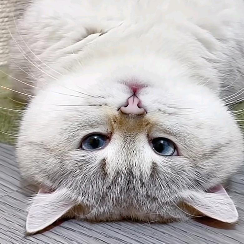 张博芝好物分享