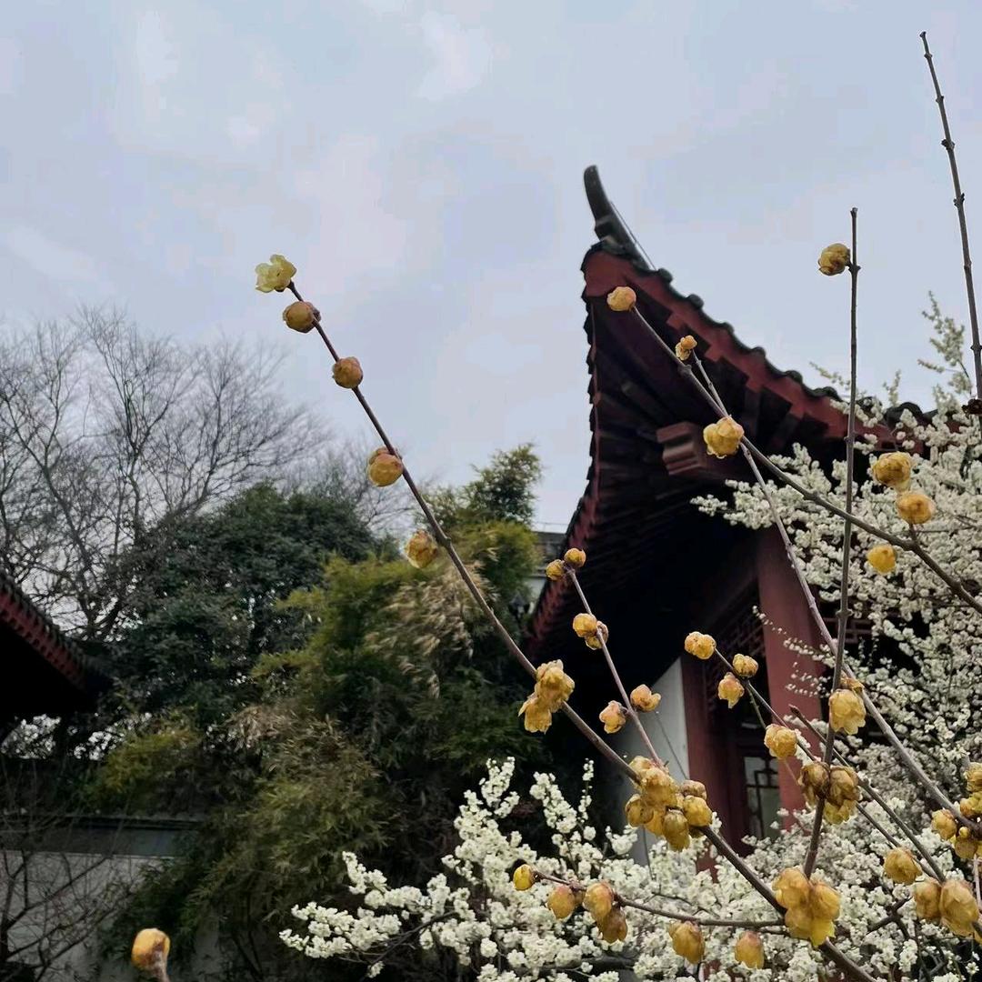 云淡风轻60332