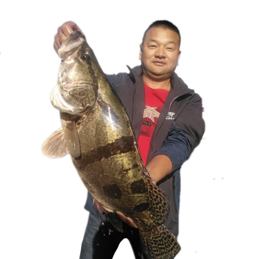 抚远市抚远镇果哥网店