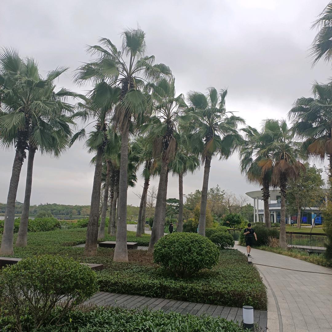 八零后的中年人