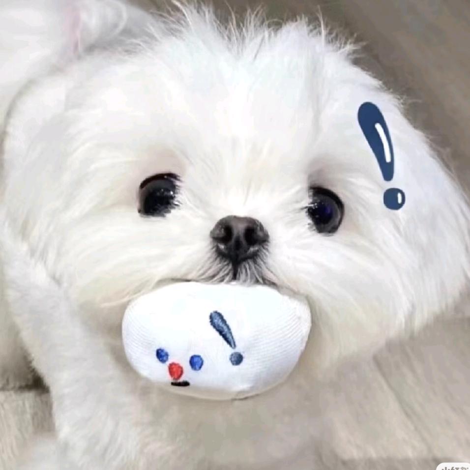 卿拾.