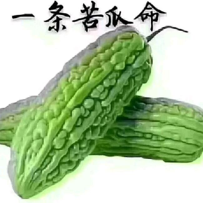 用户3317286454842