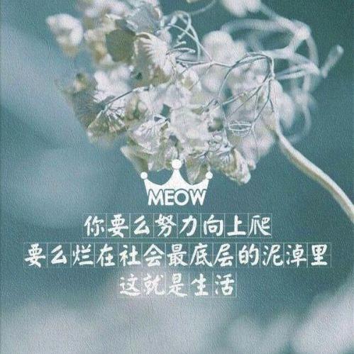 疆煤外运