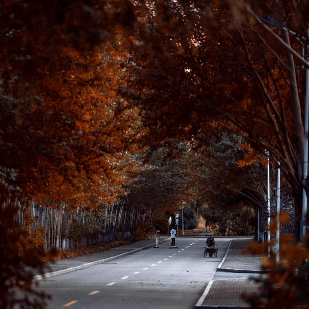 齐齐哈尔医学院医技学生会