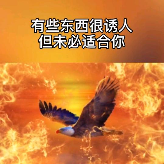 527、平凡的我