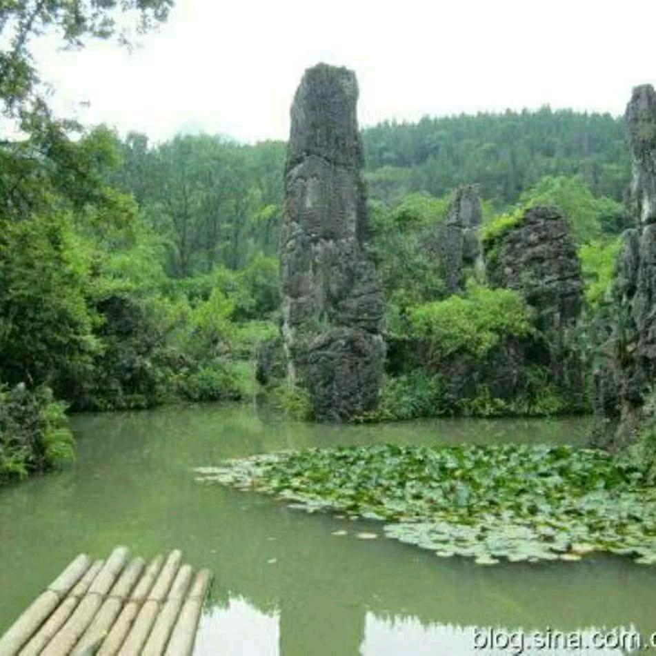旺堆🤔