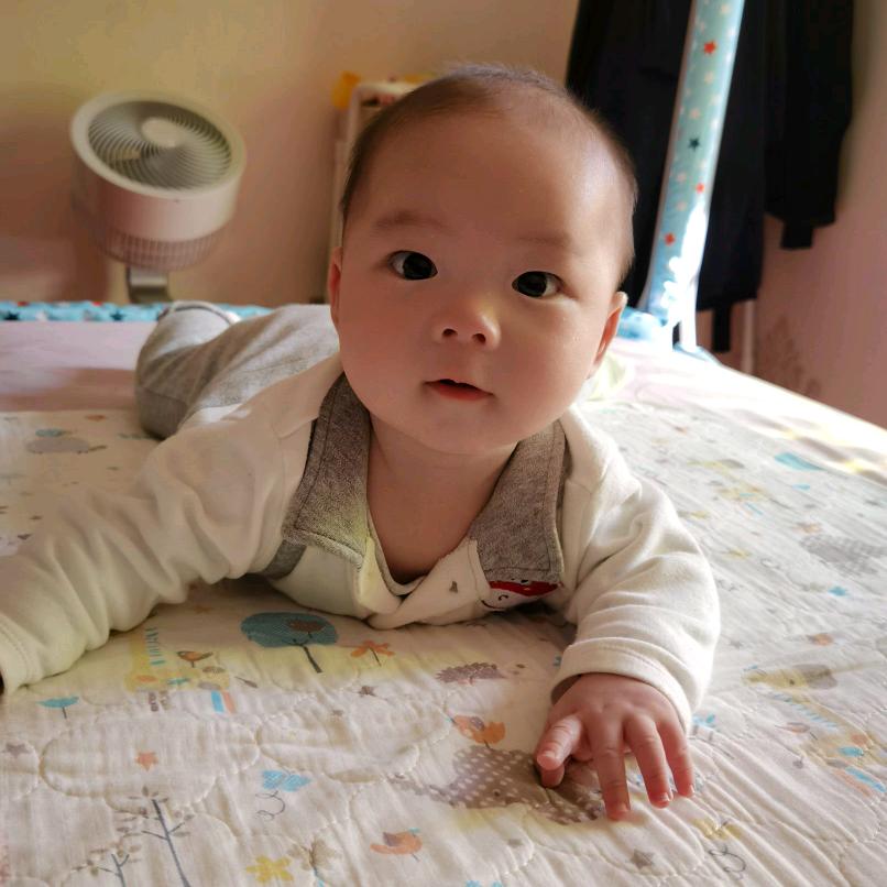 山仔阿宝哥