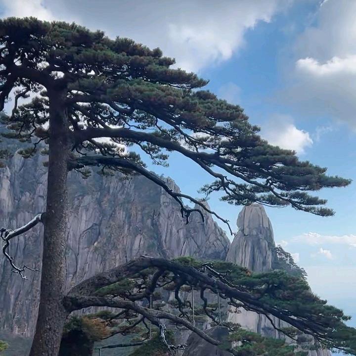 不以物喜 不以己悲