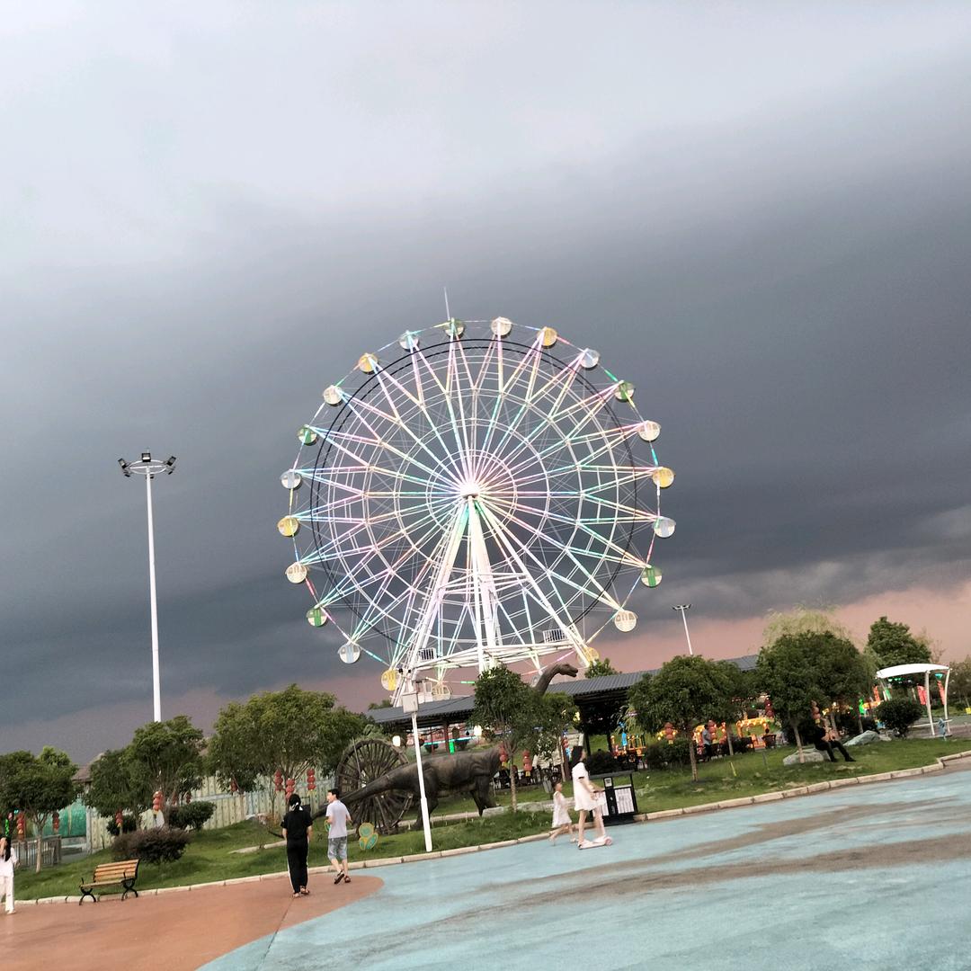 老杨带我去疯狂