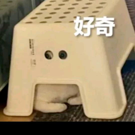 向着美好出发