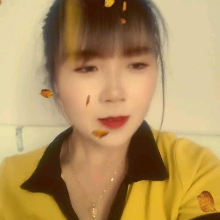 玫瑰花。