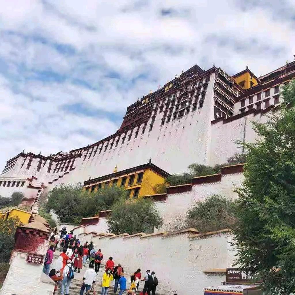 代sir（新江老舅）