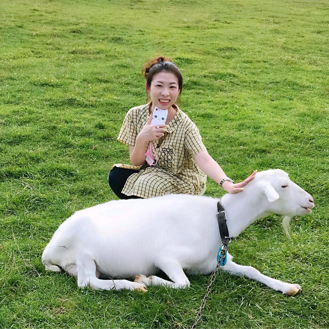 美女养殖波尔山羊