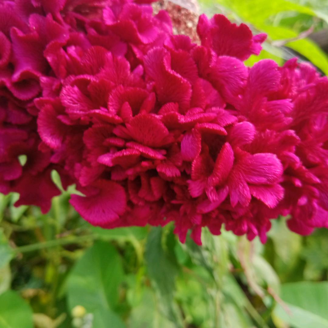 有你真好caixinyin