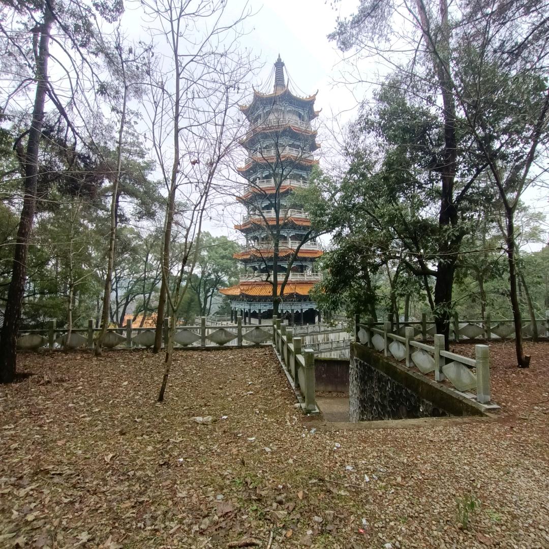 天涯海角任我行