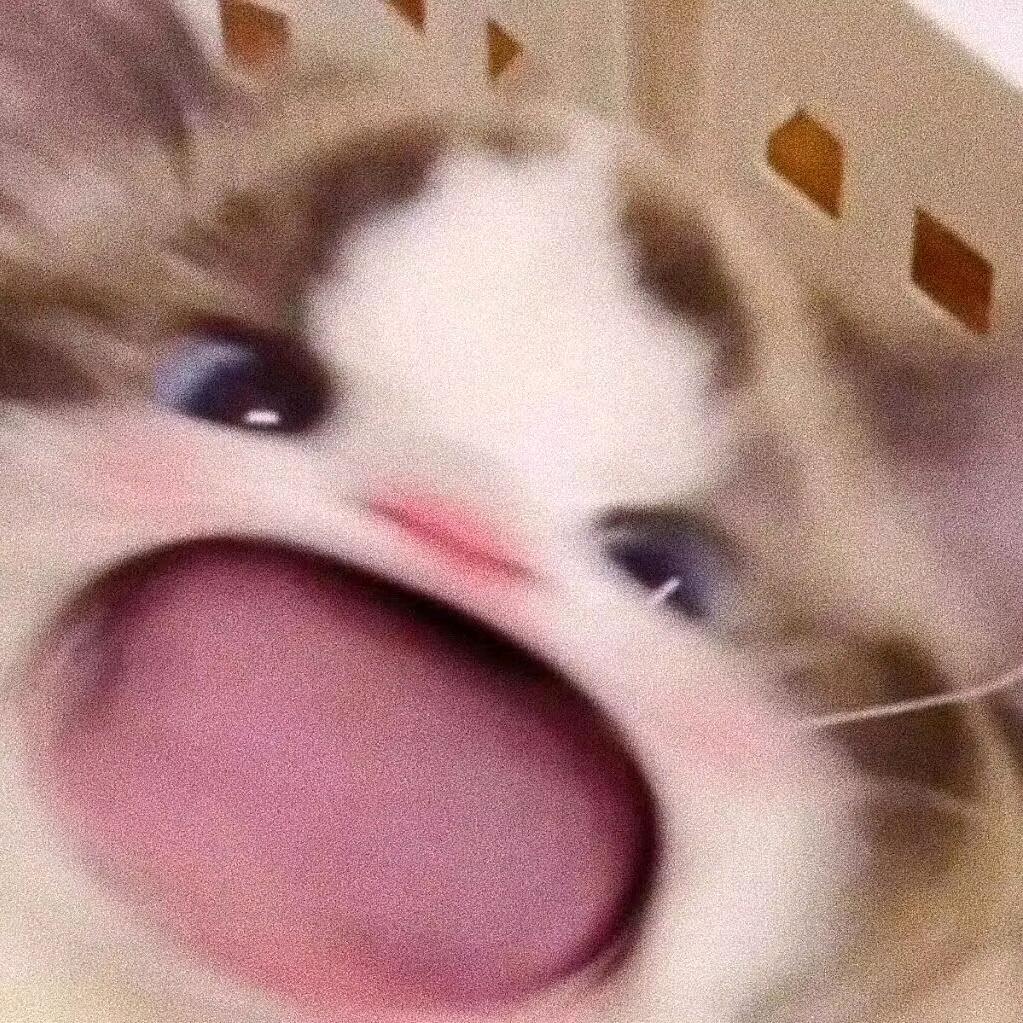 阿罗