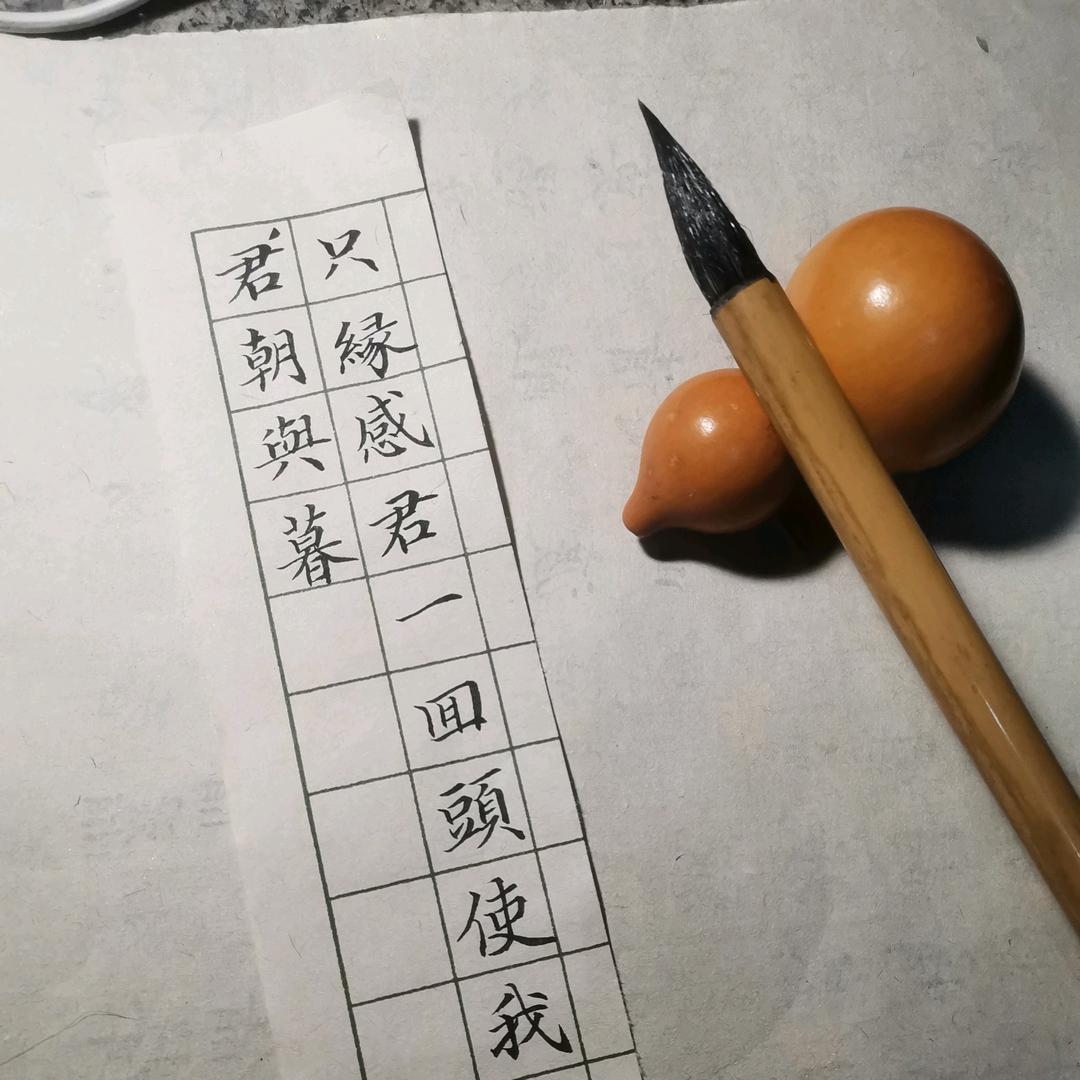 张店教书法的仇老师