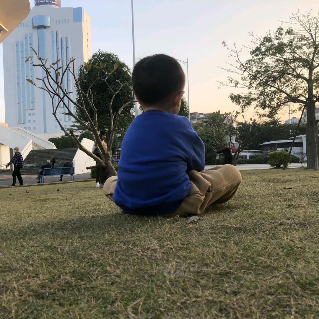 四叶草🍀