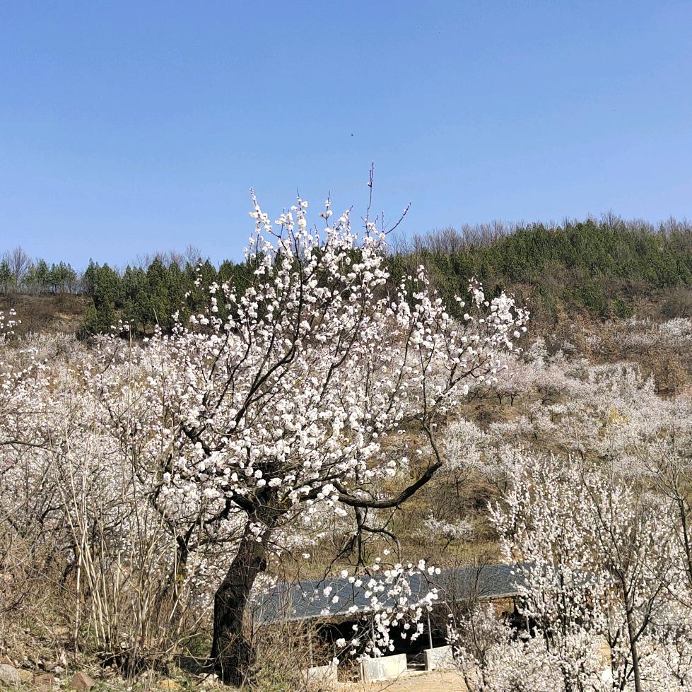 啊三休闲吧