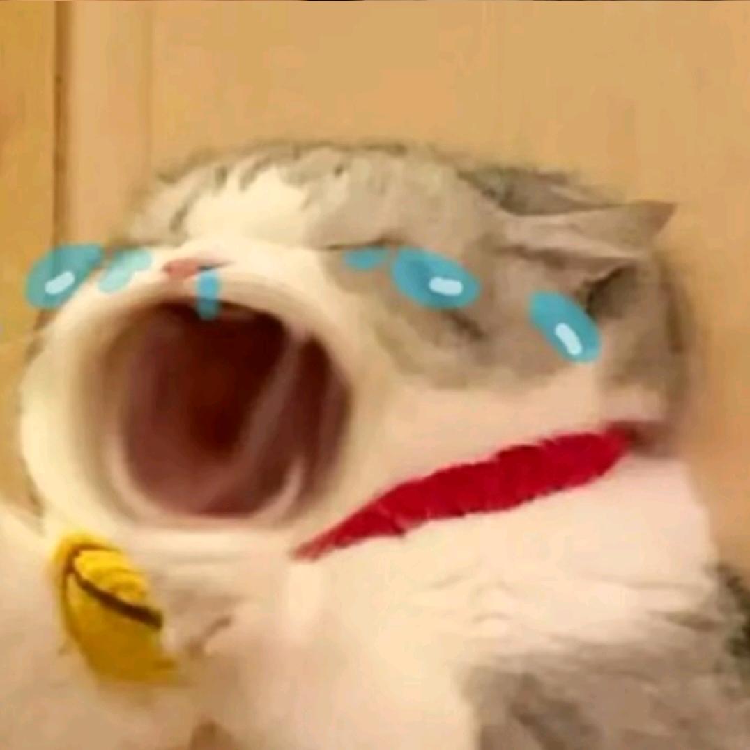 阿伟💤