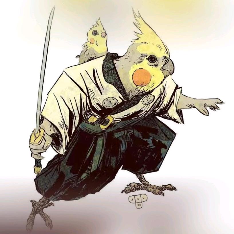 桃园👀 书生