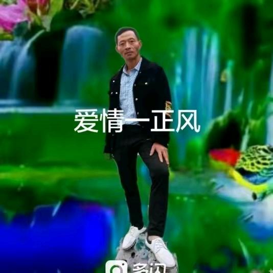 梦中只有你